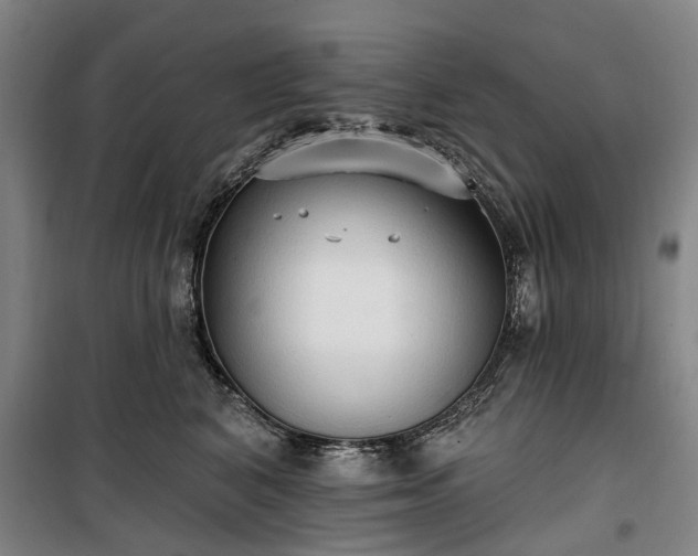 X0000100330616200806121129