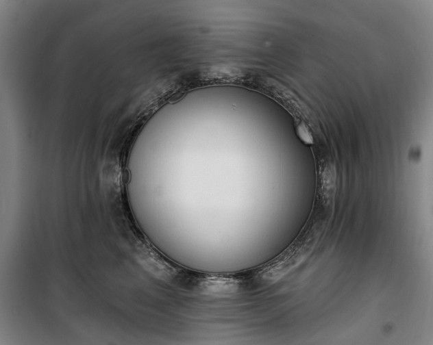 X0000100330617200806121129