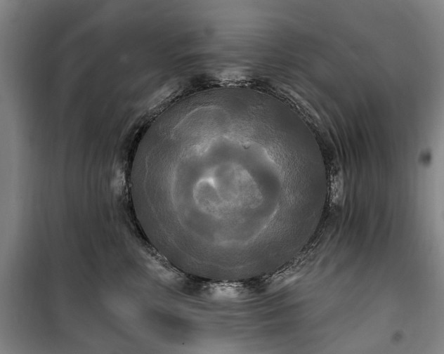 X0000100330618200806121129