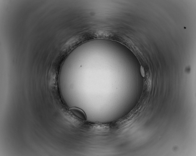 X0000100330619200806121129