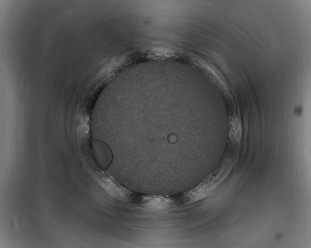 X0000100330621200806121129