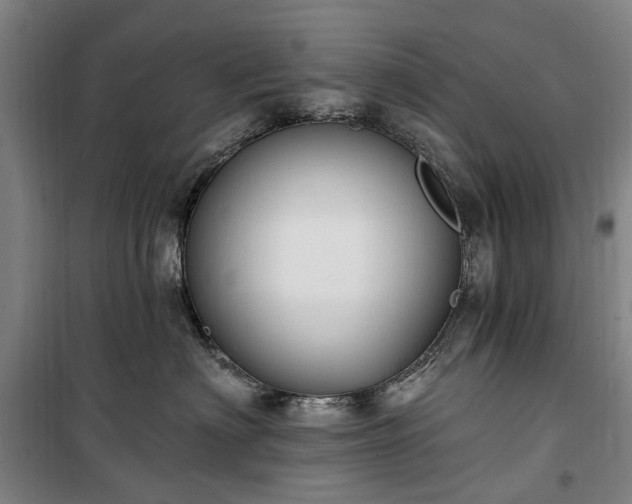 X0000100330622200806121129