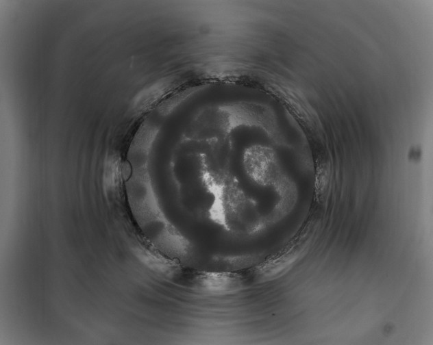 X0000100330623200806121129