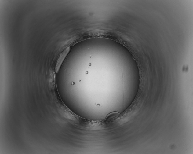 X0000100330624200806121129