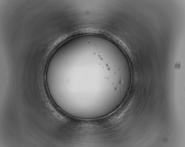 X0000100330625200806121128