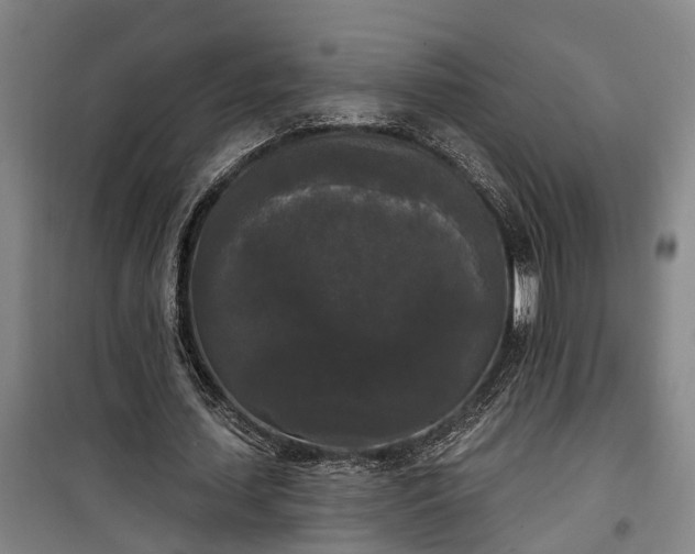 X0000100330627200806121128