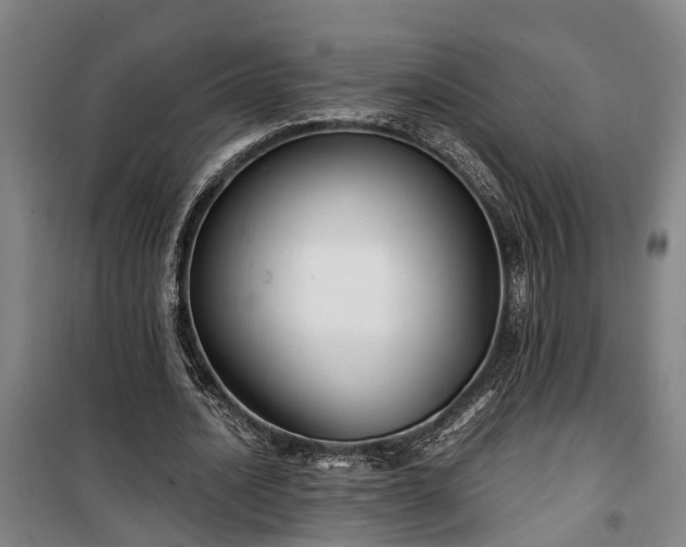 X0000100330628200806121128