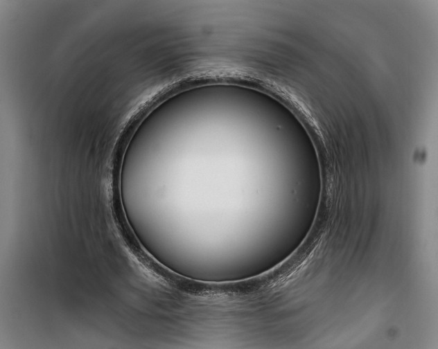 X0000100330629200806121128