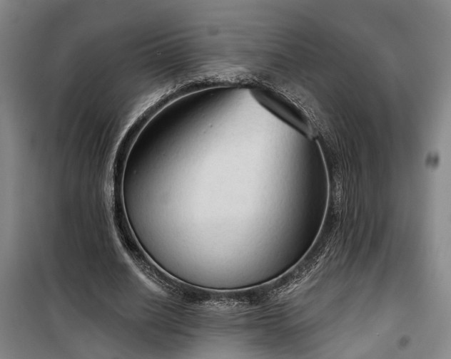 X0000100330630200806121128