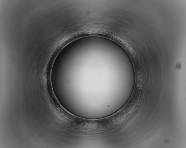 X0000100330631200806121128