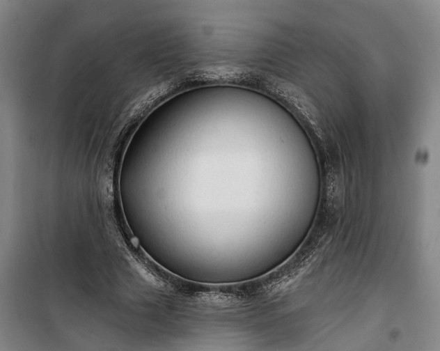 X0000100330633200806121128