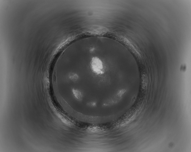 X0000100330634200806121129