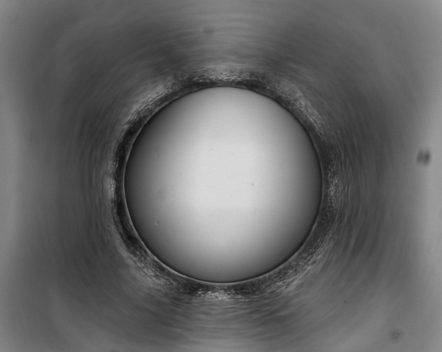 X0000100330635200806121129