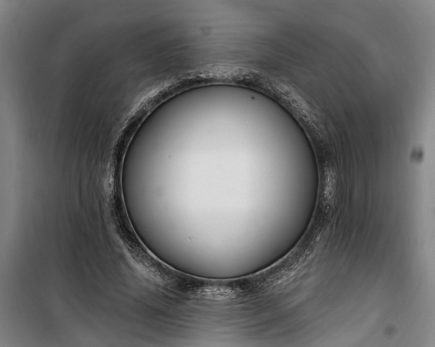 X0000100330636200806121129