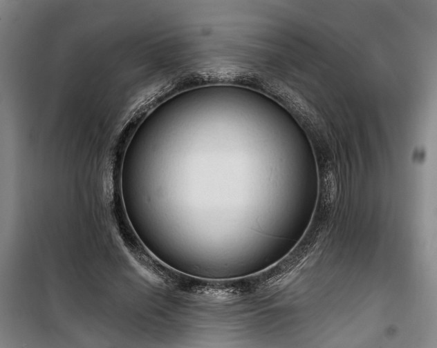 X0000100330638200806121129