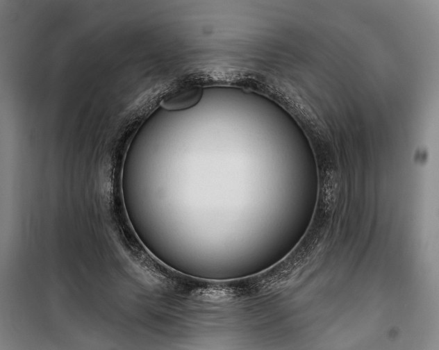 X0000100330639200806121129