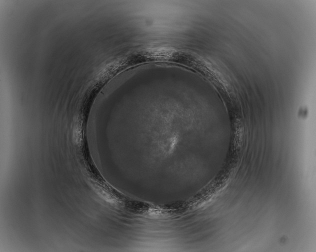 X0000100330641200806121129