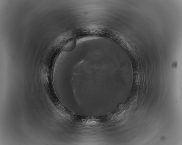 X0000100330643200806121129