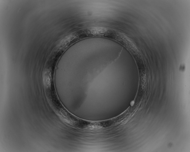 X0000100330644200806121129