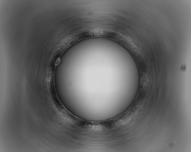 X0000100330645200806121129