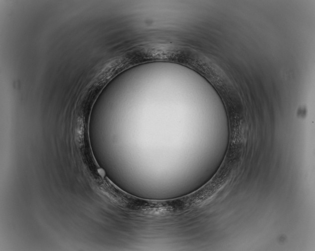 X0000100330646200806121129