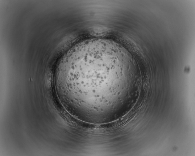 X0000100330647200806121129