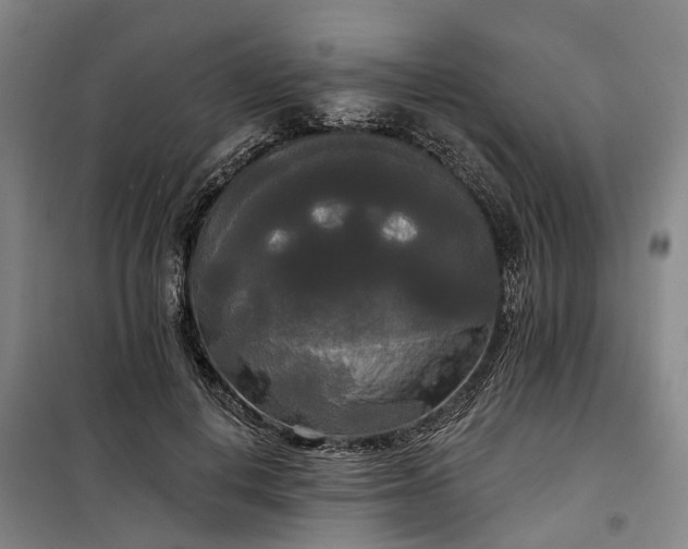 X0000100330648200806121129