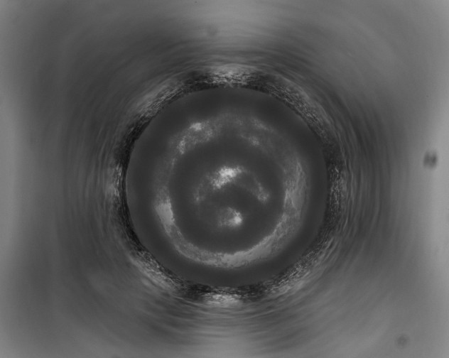 X0000100330649200806121129