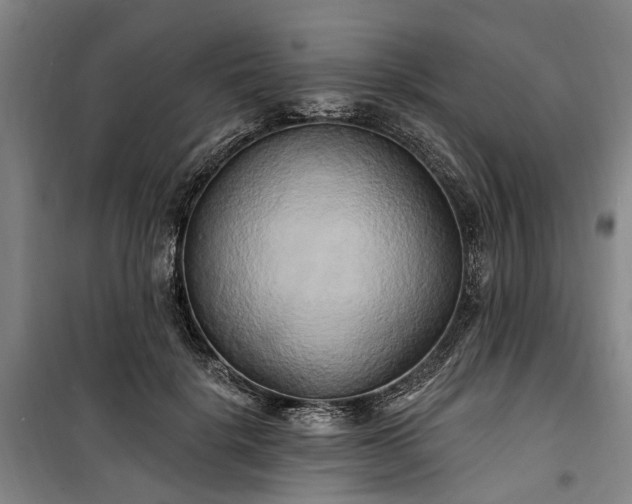 X0000100330652200806121129