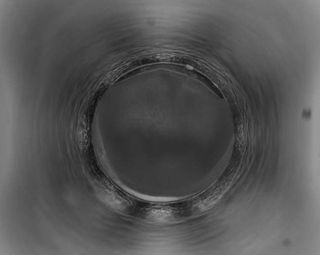 X0000100330653200806121129