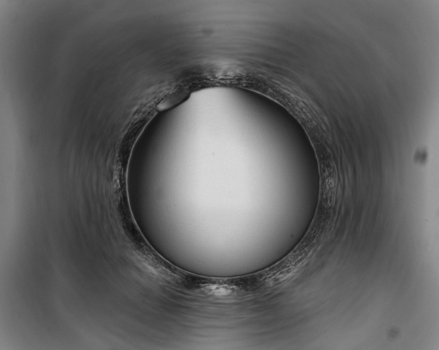 X0000100330654200806121129