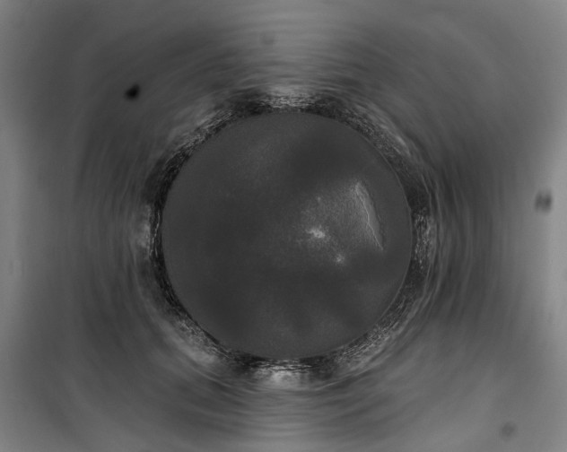 X0000100330655200806121129