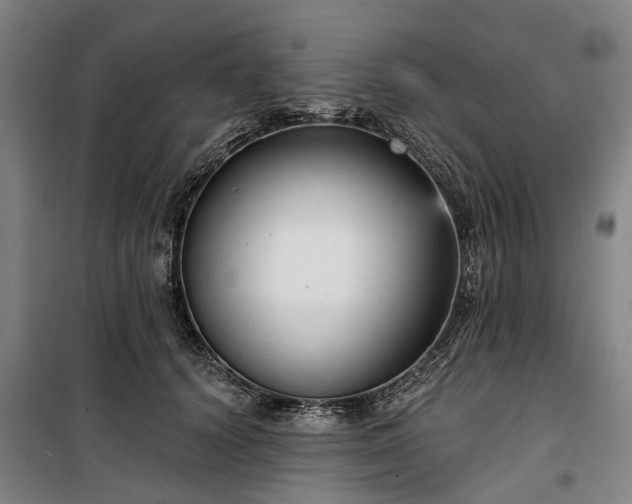 X0000100330656200806121129