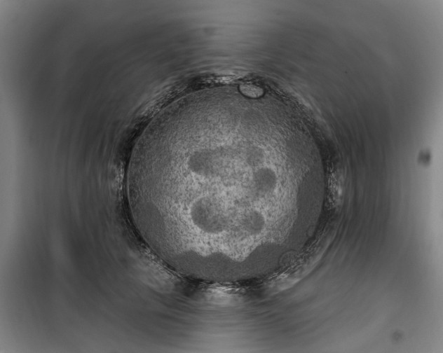 X0000100330657200806121129