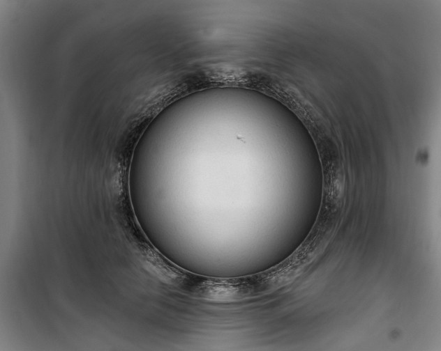 X0000100330658200806121129