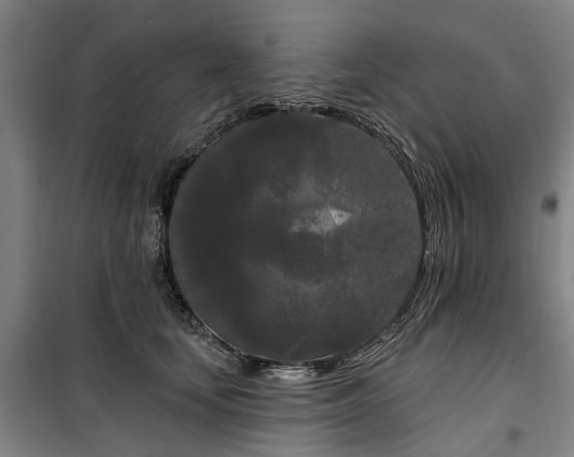 X0000100330659200806121129