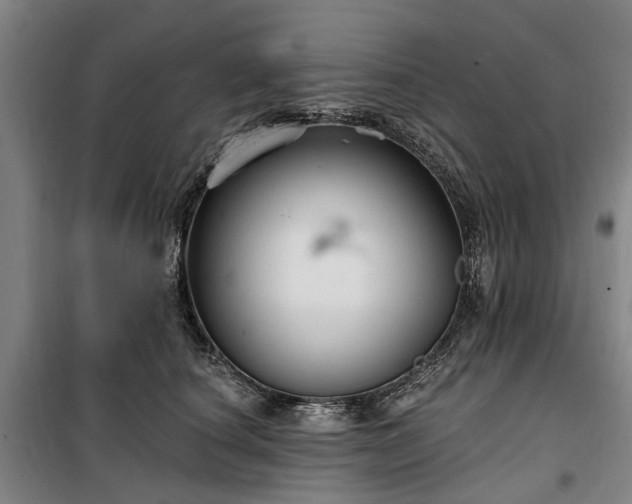 X0000100330660200806121129