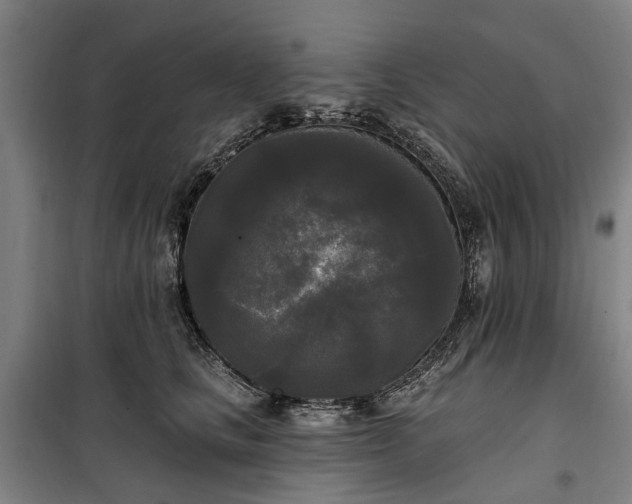 X0000100330661200806121129