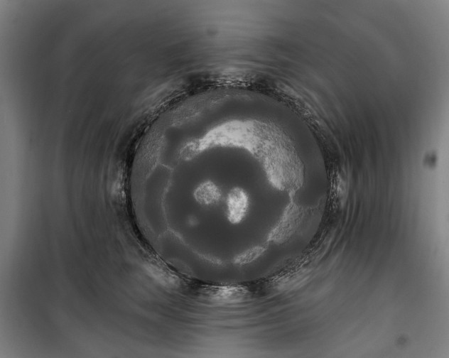 X0000100330663200806121129