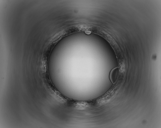 X0000100330666200806121129