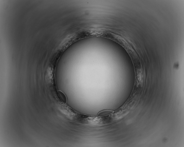 X0000100330667200806121129