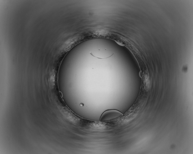 X0000100330668200806121129