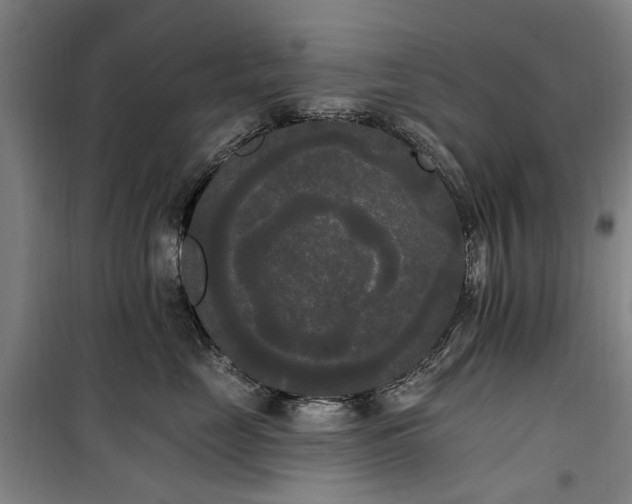 X0000100330669200806121129