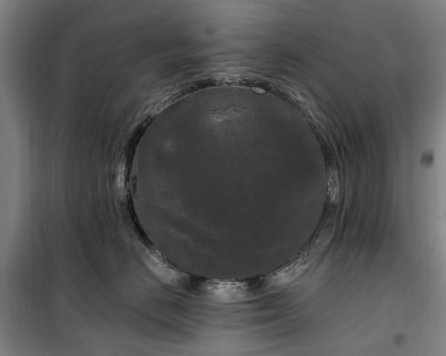 X0000100330670200806121129