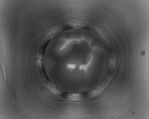 X0000100330671200806121129