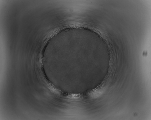 X0000100330672200806121129