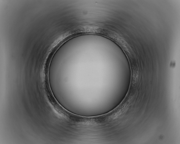 X0000100330674200806121128