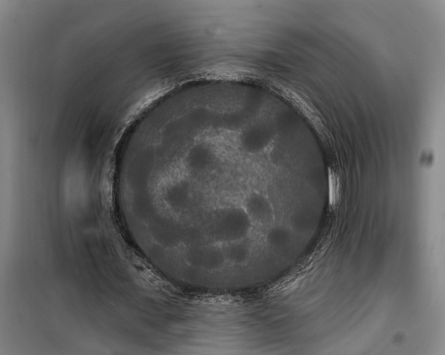 X0000100330675200806121128