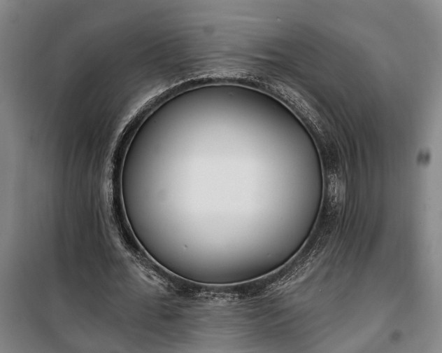 X0000100330676200806121128