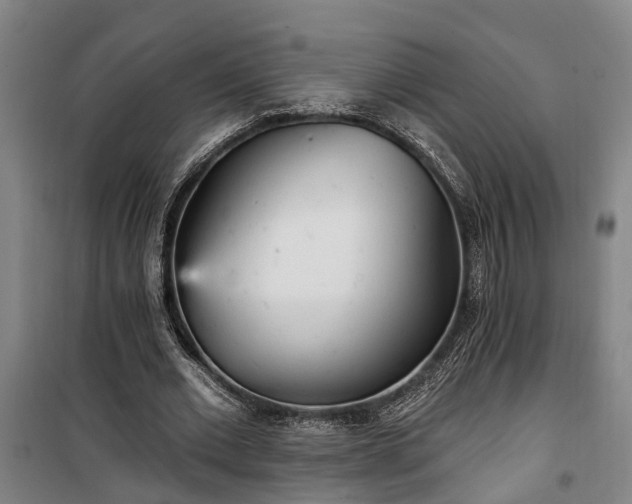 X0000100330677200806121128